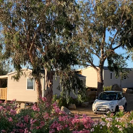Campingplads Camping Monte Ortu By Corsica Paradise