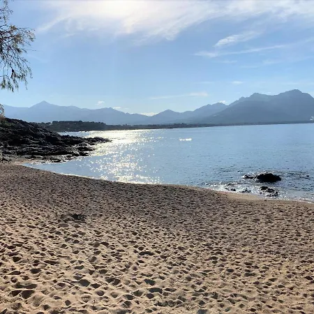 Campsite Camping Monte Ortu By Corsica Paradise *